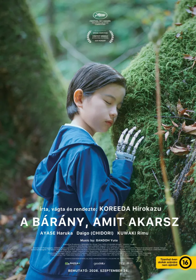 A bárány, amit akarsz plakát