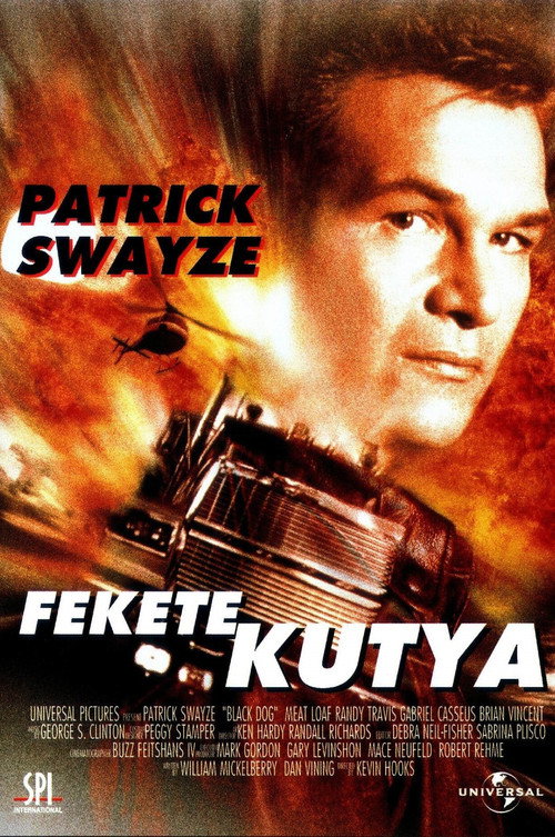 Fekete kutya plakát