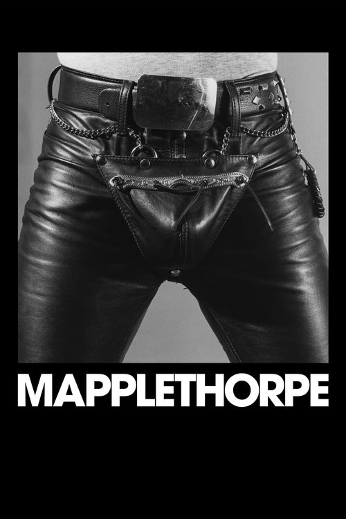 Mapplethorpe: A fényművész plakát