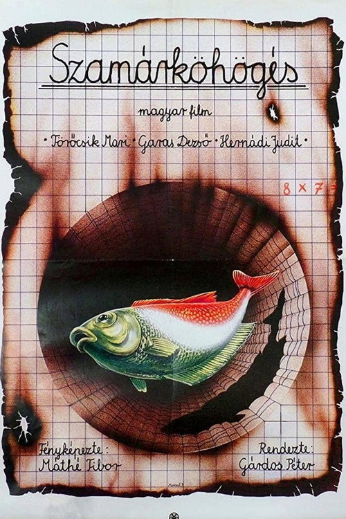 Szamárköhögés plakát